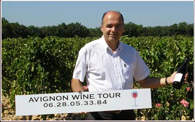 avignon wine tour